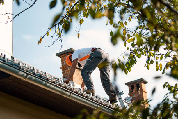 Best Roof Repair Services  in Ridgeway, AK