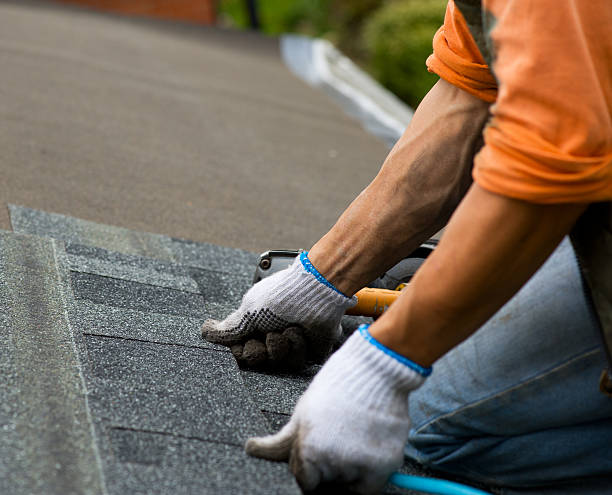 Best Sealant for Roof  in Ridgeway, AK