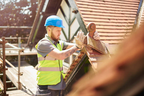 Best Roof Leak Repair  in Ridgeway, AK