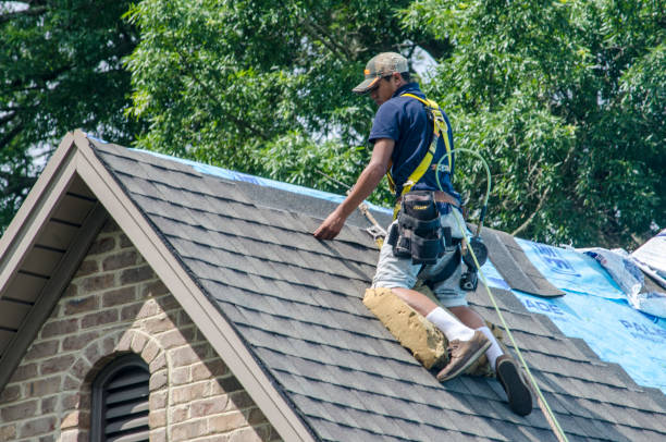 Best Metal Roofing Contractor  in Ridgeway, AK